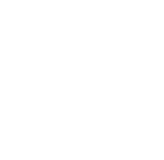 Stud Earrings