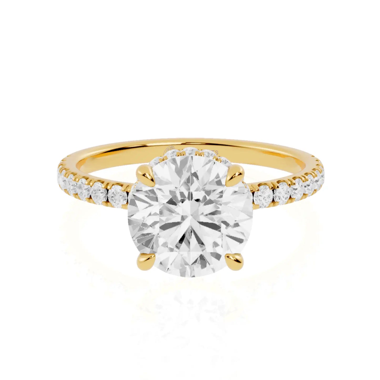 Outer Hidden Halo Pave Band Engagement Ring | Tartu Radiance