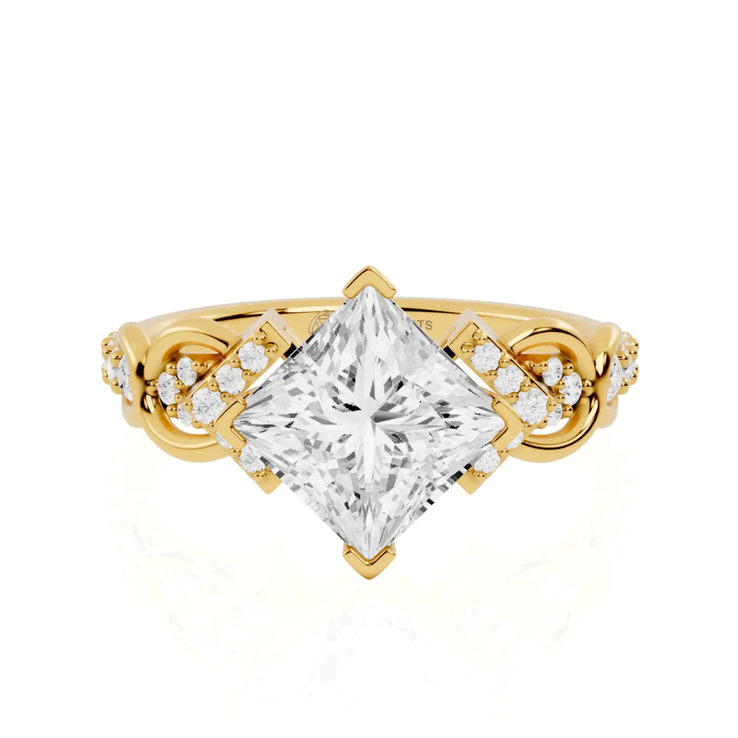 Nature-Inspired Vine Accent Princess Cut Lab Grown Diamond Engagement Ring | Boston Belle