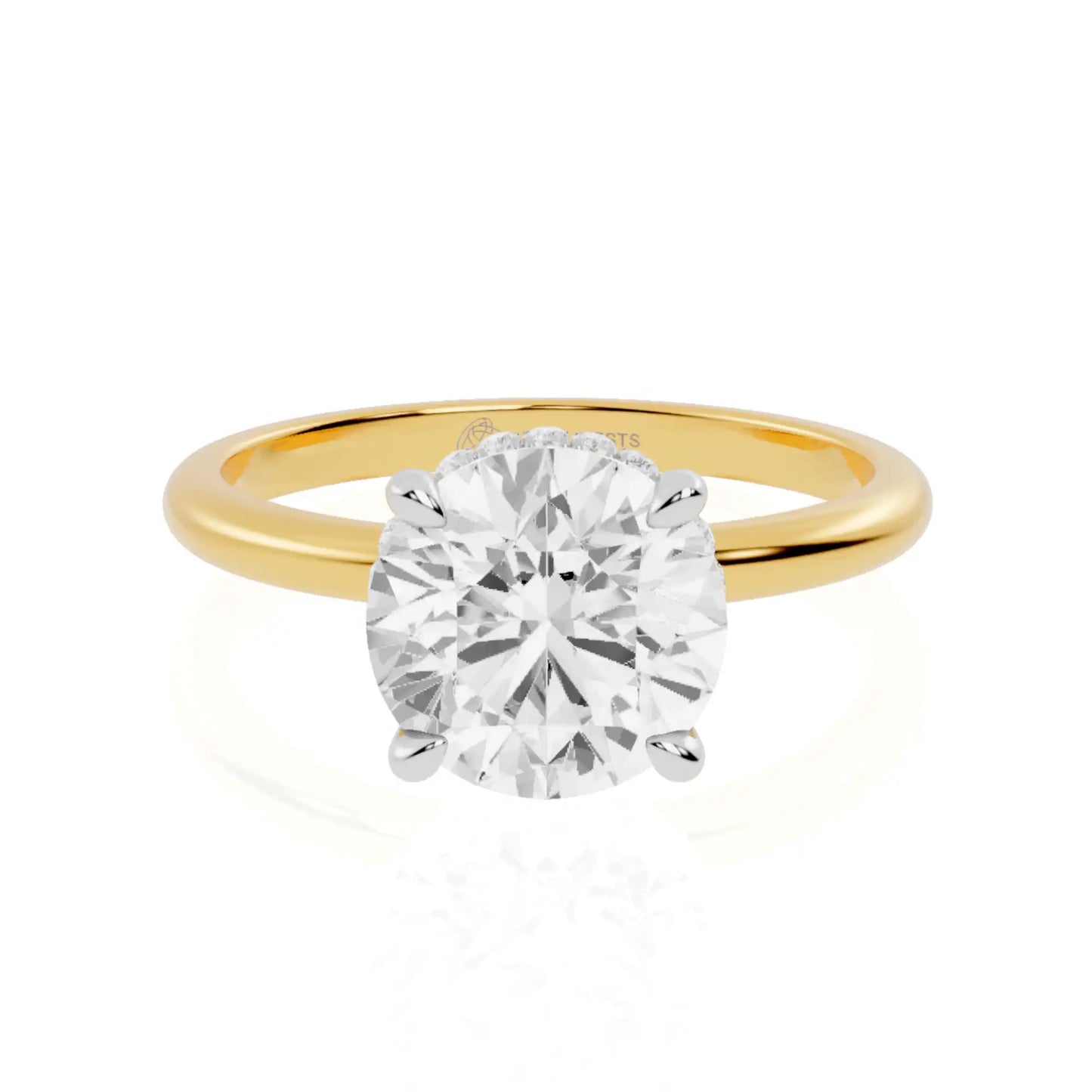 Two-Tone Gold Outer Hidden Halo Engagement Ring | Budapest Aura