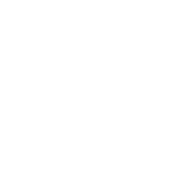 Drop Earrings