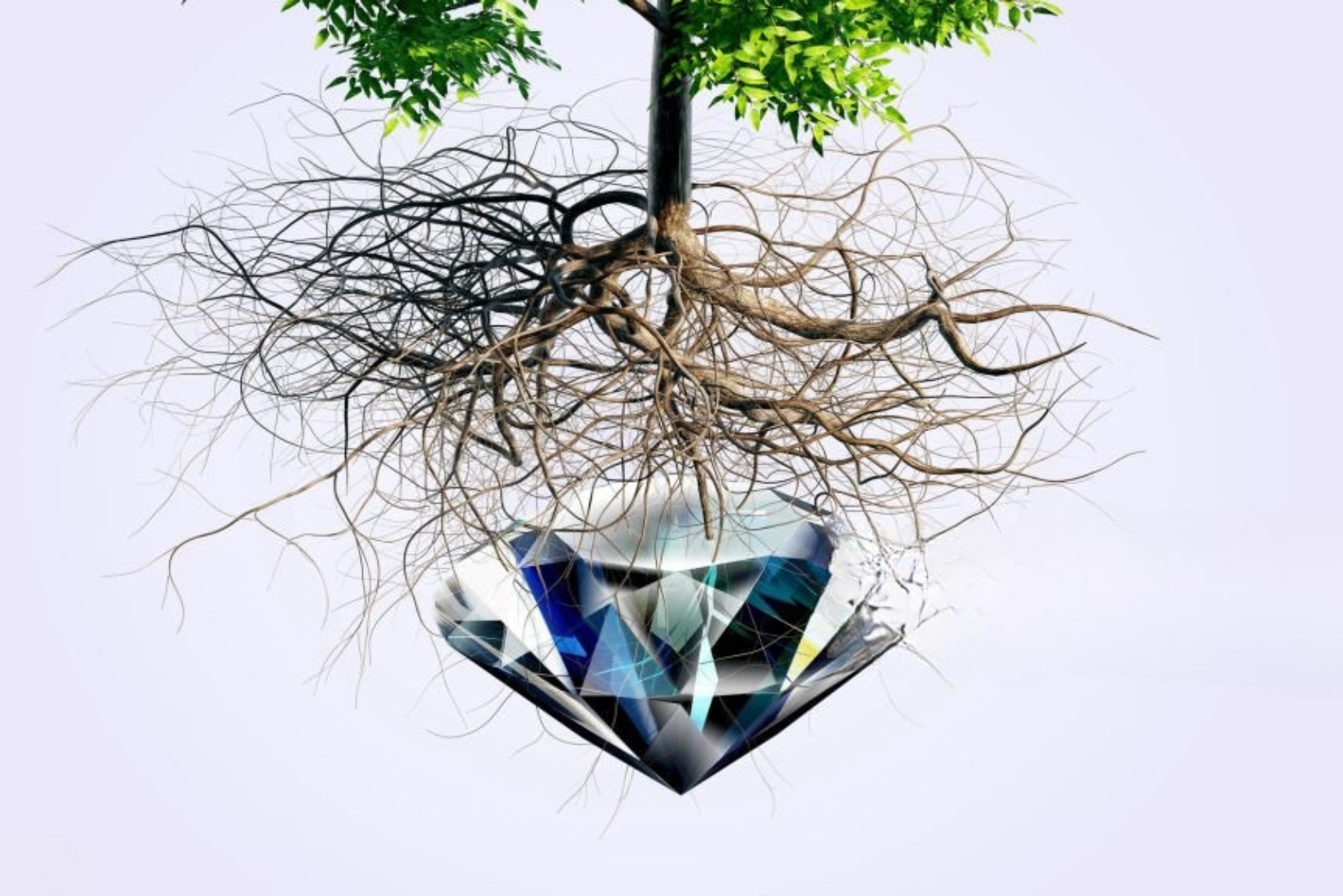Why Eco-Conscious Canadians Are Choosing Lab-Grown Diamonds